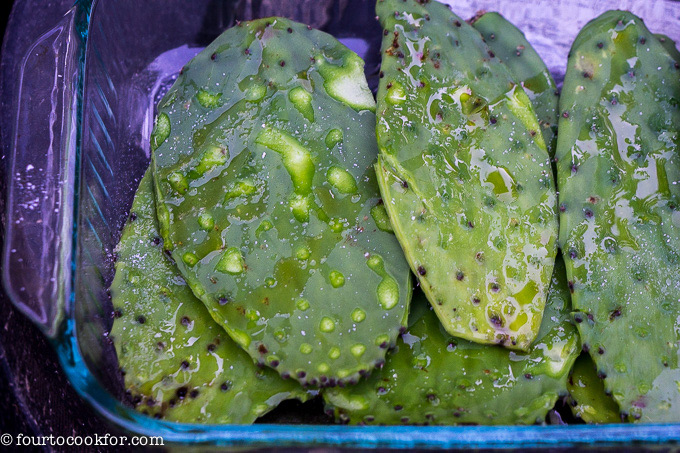 Grilled Nopales (Cactus Leaves) Recipe